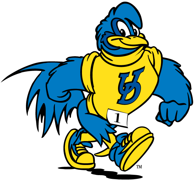 delaware blue hens 1993-pres mascot Logo v3 iron on transfers for fabric